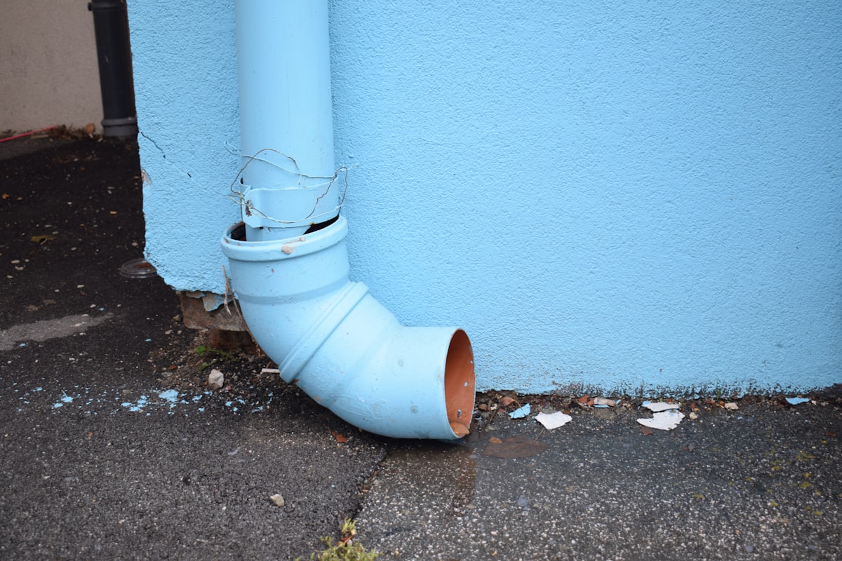 Mold Remediation service in Edina, MN