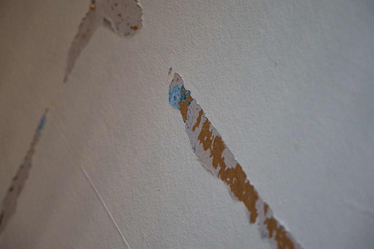 Flood Cleanup service in Edina, MN